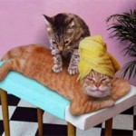 gato-masaje