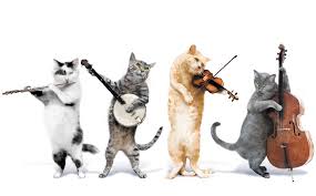 gatos-musicos