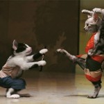 gatos-pelean-juegan