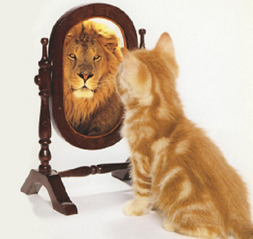 rey-leon-espejo