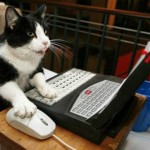 gato-internet